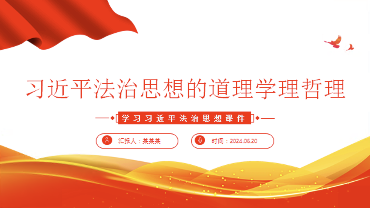 学习法治思想主题党课讲稿+PPT课件：准确把握法治思想的道理学理哲理
