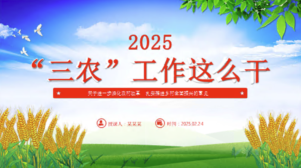2025年三农工作这么干PPT中央一号文件要点