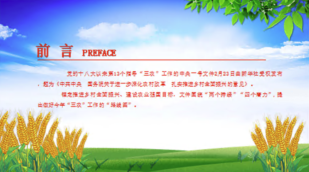 2025年三农工作这么干PPT中央一号文件要点