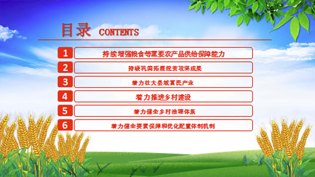 2025年三农工作这么干PPT中央一号文件要点