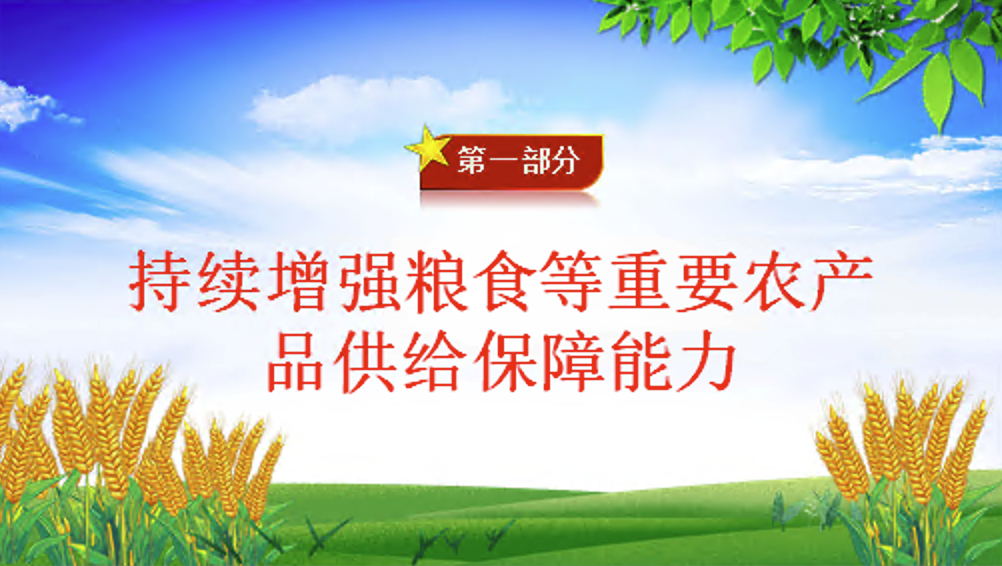 2025年三农工作这么干PPT中央一号文件要点